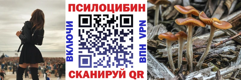 Псилоцибиновые грибы мухоморы  Кашира 